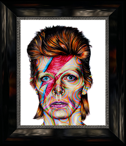Bowie 20x16 <or> 28x24F 