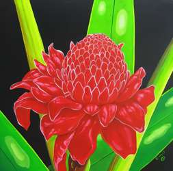 Torch Ginger 12X12 