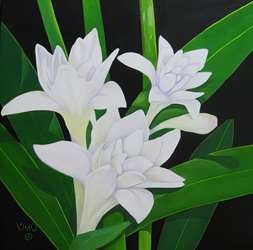 Tuberose 12X12 