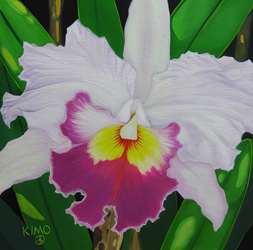 Orchid 12X12 