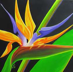 Bird of Paradise 24X12 