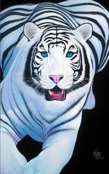 White Tiger 36X24 